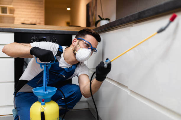 Best Pest Inspection Near Me  in Pascagoula, MS
