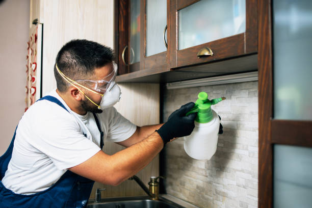 Pascagoula, MS Pest Control Company