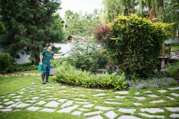 Best Wasp Removal Services  in Pascagoula, MS