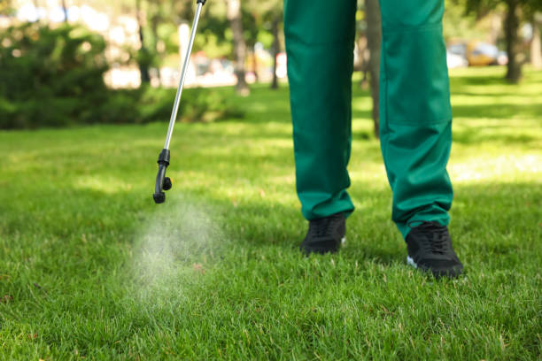Insect Control in Pascagoula, MS