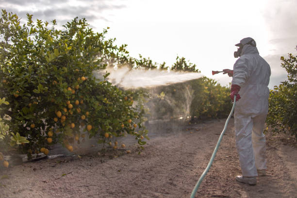 Best Residential Pest Control  in Pascagoula, MS