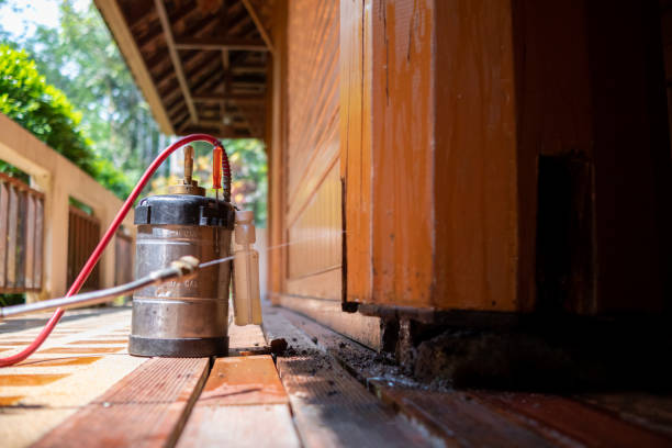 Best Best Pest Control Companies  in Pascagoula, MS