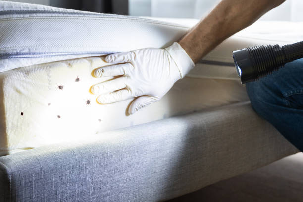 Best Bed Bug Extermination  in Pascagoula, MS