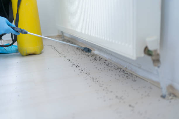 Best Exterminator Services  in Pascagoula, MS